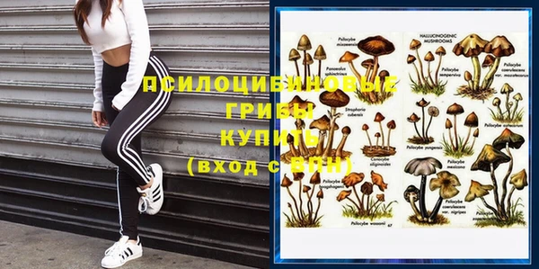 трава Осинники