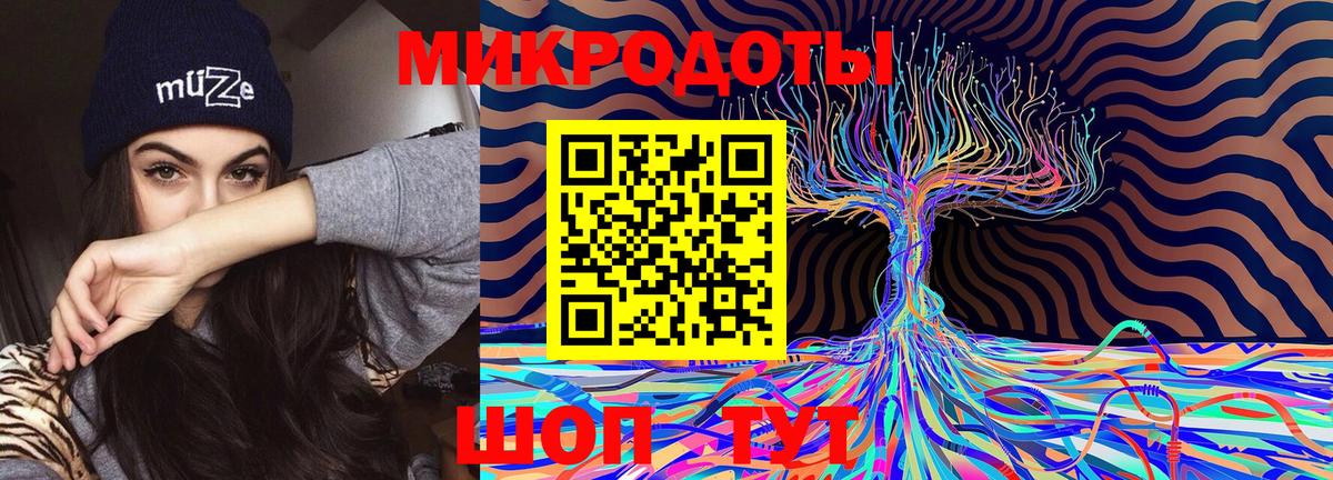 Галлюциногенные грибы Cubensis Дивногорск