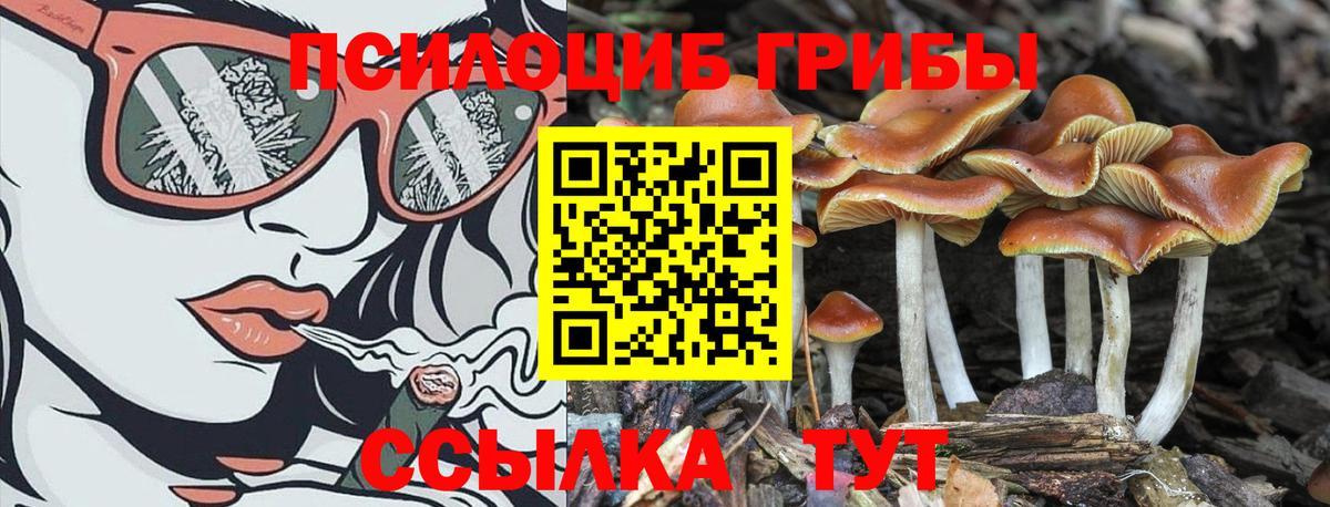Галлюциногенные грибы ЛСД  Псилоцибиновые грибы Psilocybe  Вход с VPN  где продают   Дивногорск 