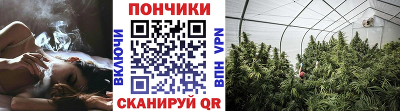 Бошки марихуана MAZAR  mega как войти  Дивногорск 
